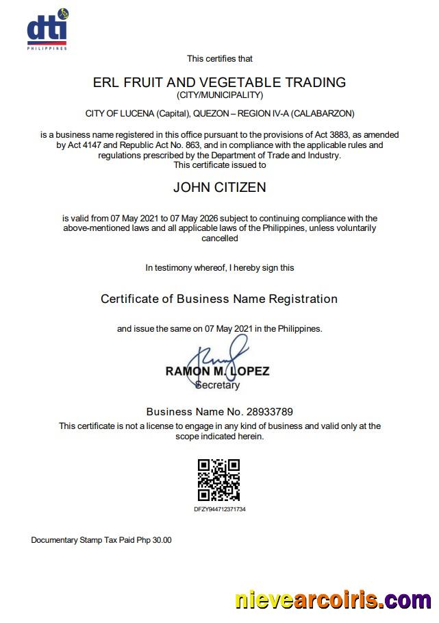 Philippines Department of Trade and Industry (DTI) private interprenour